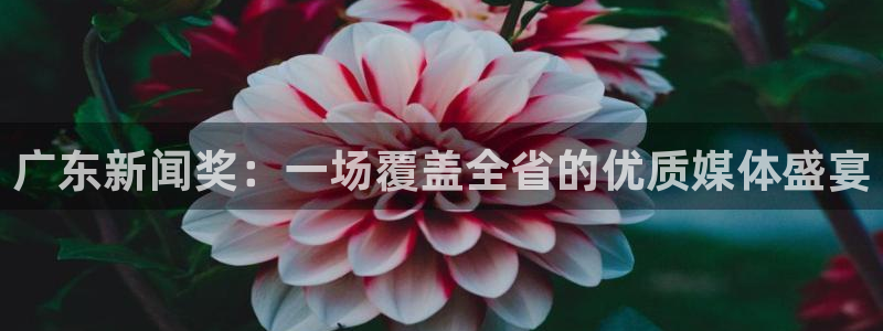 广东新闻奖：一场覆盖全省的优质媒体盛宴