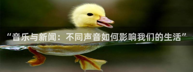 “音乐与新闻：不同声音如何影响我们的生活”