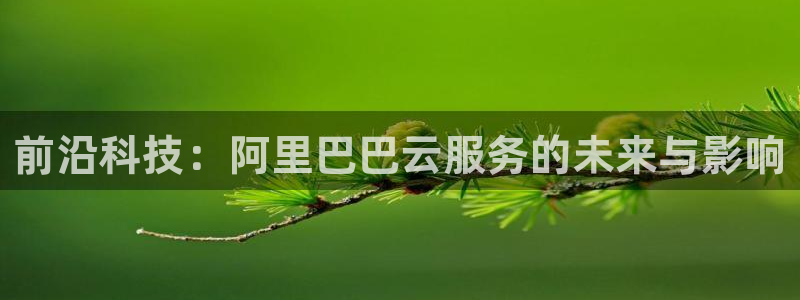前沿科技：阿里巴巴云服务的未来与影响