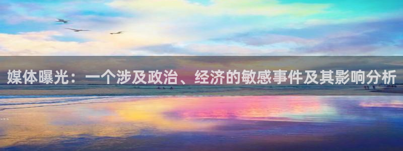 媒体曝光：一个涉及政治、经济的敏感事件及其影响分析