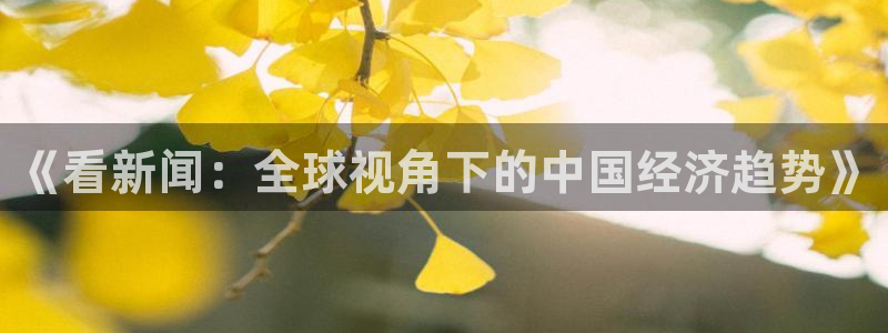 《看新闻：全球视角下的中国经济趋势》