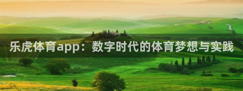 乐虎体育app：数字时代的体育梦想与实践