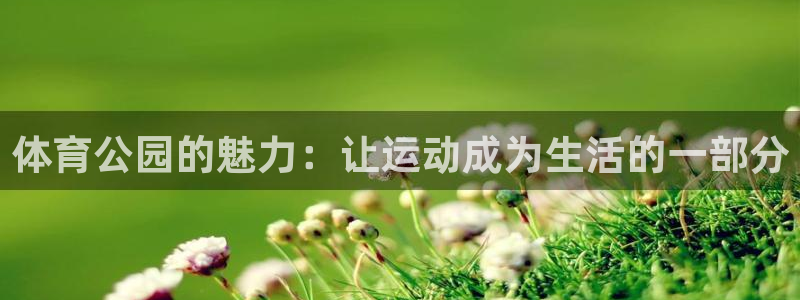体育公园的魅力：让运动成为生活的一部分