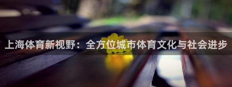 上海体育新视野：全方位城市体育文化与社会进步