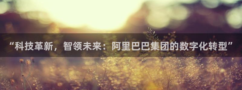 “科技革新，智领未来：阿里巴巴集团的数字化转型”