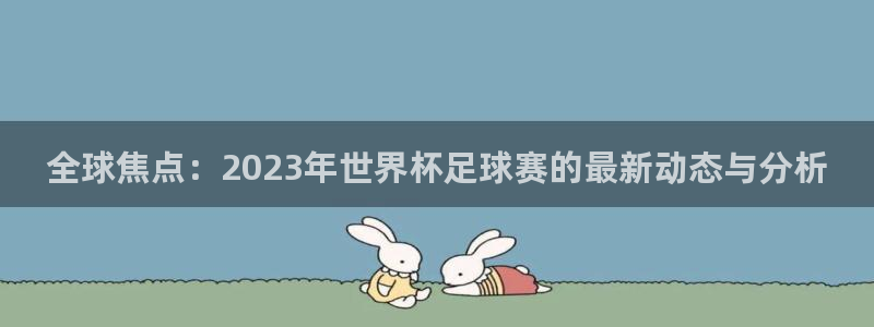 全球焦点：2023年世界杯足球赛的最新动态与分析