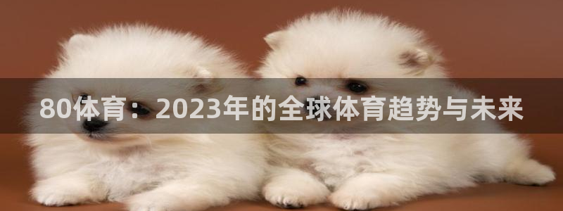 80体育：2023年的全球体育趋势与未来