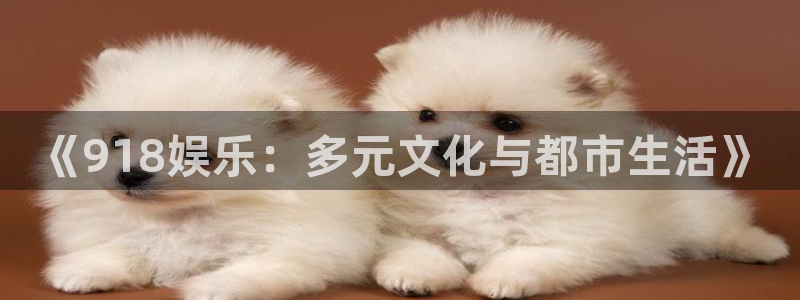 《918娱乐：多元文化与都市生活》