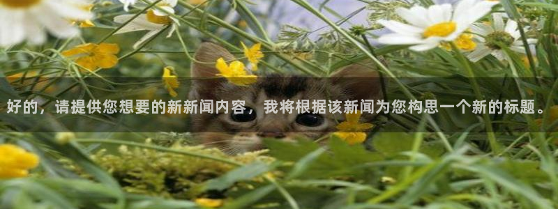好的，请提供您想要的新新闻内容，我将根据该新闻为您构思一个新的标题。