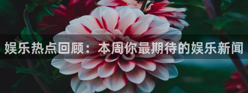 娱乐热点回顾：本周你最期待的娱乐新闻