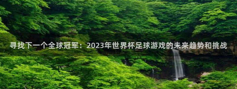寻找下一个全球冠军：2023年世界杯足球游戏的未来趋势和挑战