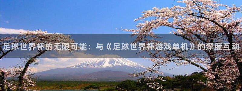 足球世界杯的无限可能：与《足球世界杯游戏单机》的深度互动