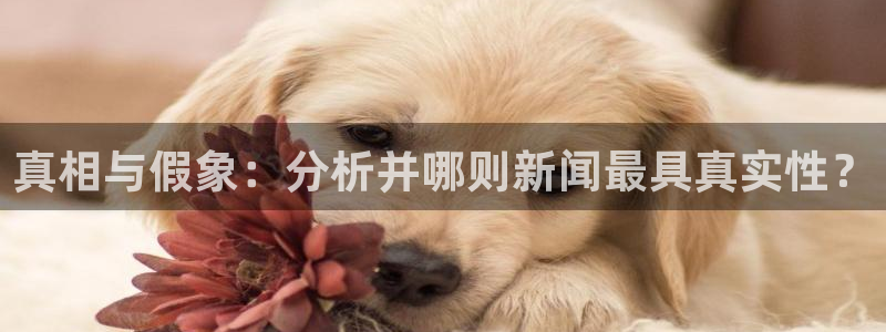 真相与假象：分析并哪则新闻最具真实性？