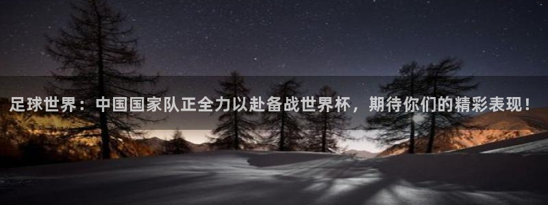 足球世界：中国国家队正全力以赴备战世界杯，期待你们的精彩表现！