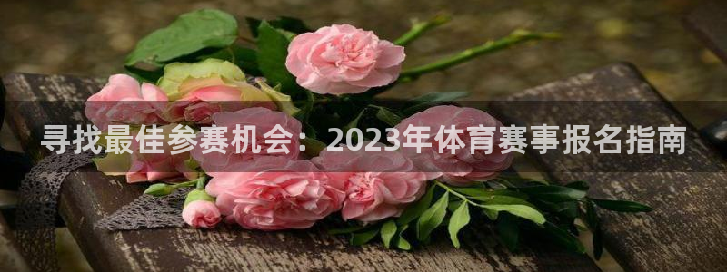 寻找最佳参赛机会：2023年体育赛事报名指南