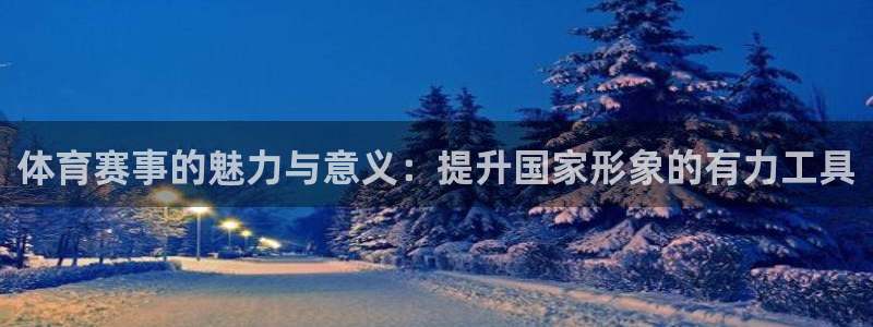 体育赛事的魅力与意义：提升国家形象的有力工具