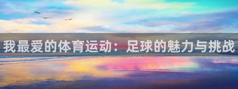 我最爱的体育运动：足球的魅力与挑战