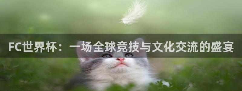 FC世界杯：一场全球竞技与文化交流的盛宴