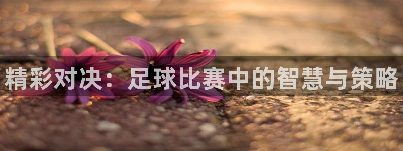 精彩对决：足球比赛中的智慧与策略