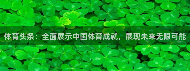 体育头条：全面展示中国体育成就，展现未来无限可能