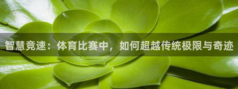 智慧竞速：体育比赛中，如何超越传统极限与奇迹