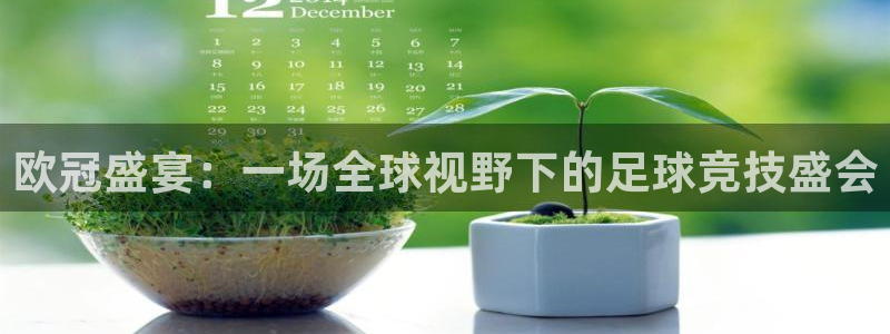 欧冠盛宴：一场全球视野下的足球竞技盛会