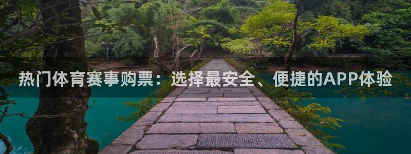 热门体育赛事购票：选择最安全、便捷的APP体验