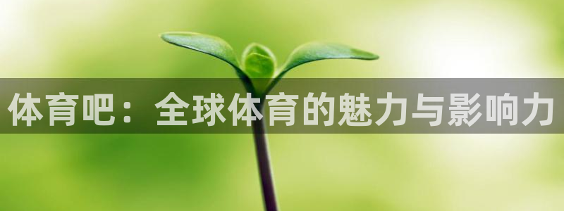 体育吧：全球体育的魅力与影响力