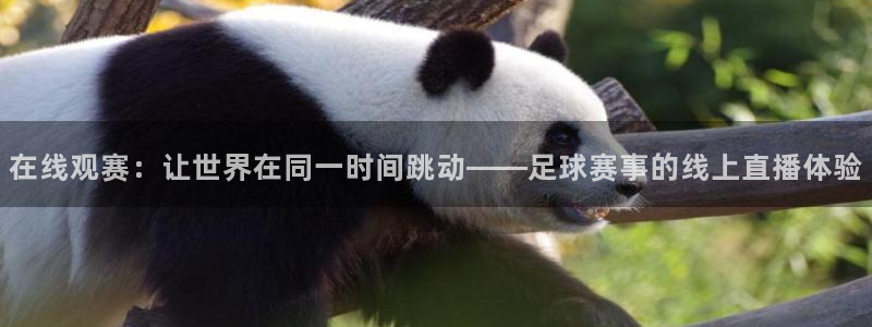 在线观赛：让世界在同一时间跳动——足球赛事的线上直播体验