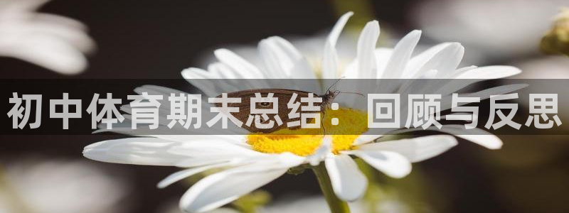 初中体育期末总结：回顾与反思