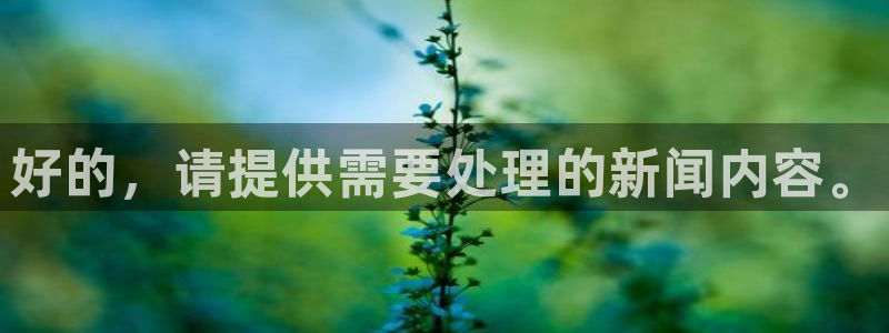 好的，请提供需要处理的新闻内容。