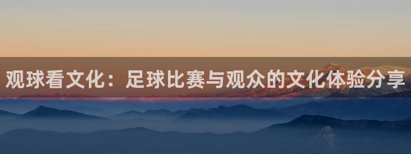 观球看文化：足球比赛与观众的文化体验分享