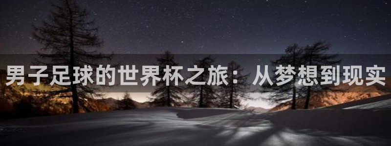 男子足球的世界杯之旅：从梦想到现实