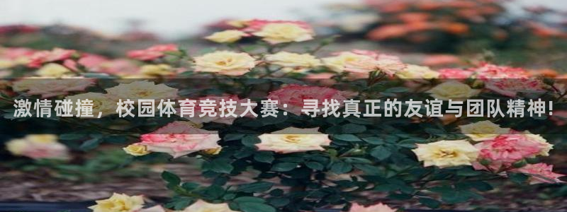 激情碰撞，校园体育竞技大赛：寻找真正的友谊与团队精神!
