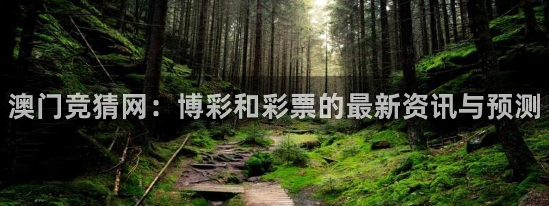 澳门竞猜网：博彩和彩票的最新资讯与预测