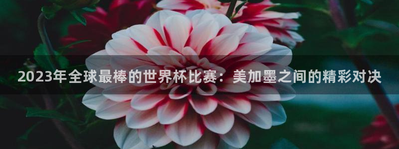 2023年全球最棒的世界杯比赛：美加墨之间的精彩对决