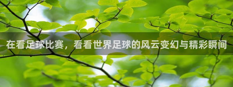 在看足球比赛，看看世界足球的风云变幻与精彩瞬间