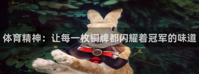 体育精神：让每一枚铜牌都闪耀着冠军的味道