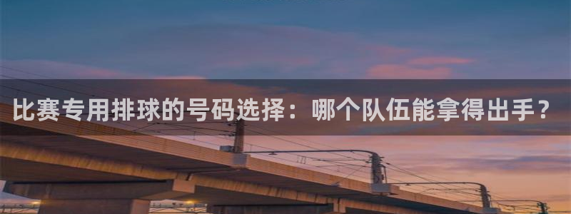 比赛专用排球的号码选择：哪个队伍能拿得出手？